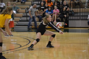 Junior Kaitlin Norman dug the ball in a match on Saturday.
